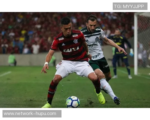 弗拉门戈与布拉干RBds的精彩对决分析与赛后点评 弗拉门戈与布拉干RBds的精彩对决分析与赛后点评